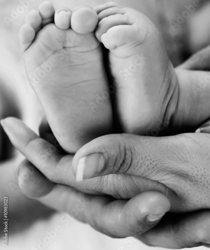 Baby feet held by mother's and father's hand
