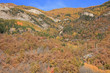 Couleurs d'automne