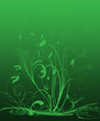 Flower background