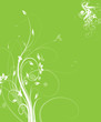 Flower background