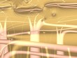 Gold trees Gold trees