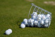 Fallen ko&scaron; s m&iacute;čky na golf