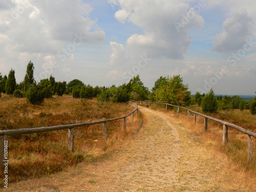 in der Lüneburgerheide