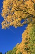 Indian Summer im Allgäu