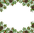 Winter frame