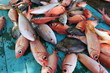 Etalage de poissons