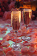 Champagne Celebration with pink pedals