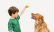 Boy Playing Ball with Dog Boy Playing Ball with Dog