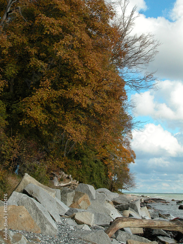 Foto: Herbst auf Rügen Herbst auf Rügen