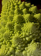 fractal
