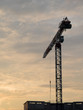 Tower Crane Tower Crane