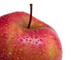Fruit 4