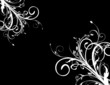 abstract floral background