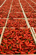 Etal de piments d'Espelette Etal de piments d'Espelette