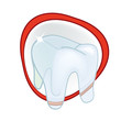 tooth