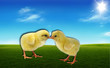 Easter