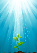 growth