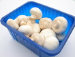 champignon