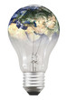 Bulb and global energy Bulb and global energy