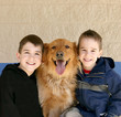 Photo: Boys and Golden Retriever Boys and Golden Retriever