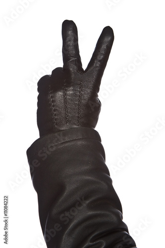 Photo: Hand in glove. Hand in glove.