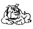Bad dog