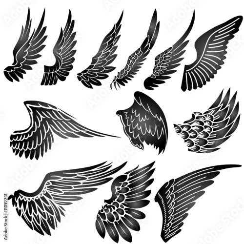 bird silhouette tattoo. wings silhouette vector