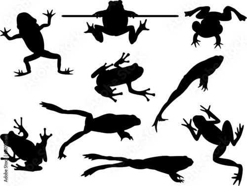 Frogs+silhouettes
