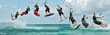 Figure de kitesurf décomposée : le downloop
