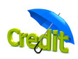 Images : Credit umbrella