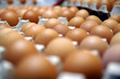 More eggs