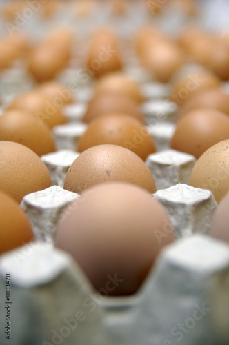 Lines of eggs