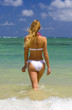 A beautiful young blond woman in a bikini at a tropical beach A beautiful young blond woman in a bikini at a tropical beach