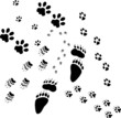 animal footpath animal footpath