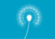 Pusteblume Blau Pusteblume Blau