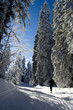 Ski de fond
