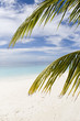 Ihuru Island Maldives