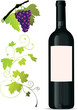 set of vine elements