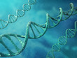 DNA Strand