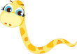 female snake