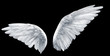 angel wings