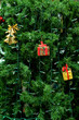 Foto: Christmas Tree Christmas Tree