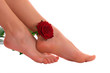 Woman legs with rose Woman legs with rose