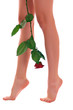 Woman legs with rose Woman legs with rose