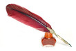 Writing feather