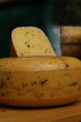 Dutch cheese