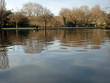 Urban pond in Dublin