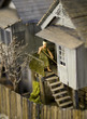 Elderly Lady Sweeping The Porch
