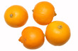 citrons bergamote citrons bergamote