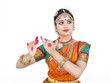 indian traditional female dancer